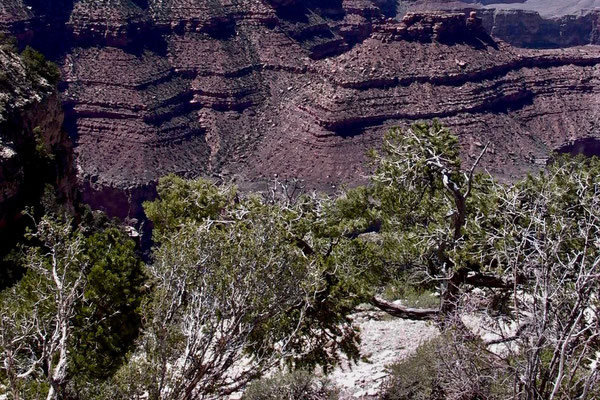 GRAND CANYON, USA - 2004