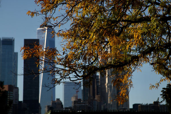 NEW YORK, USA - 2022