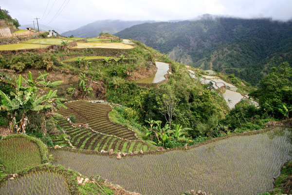 BANAUE, PHILIPPINES - 2008