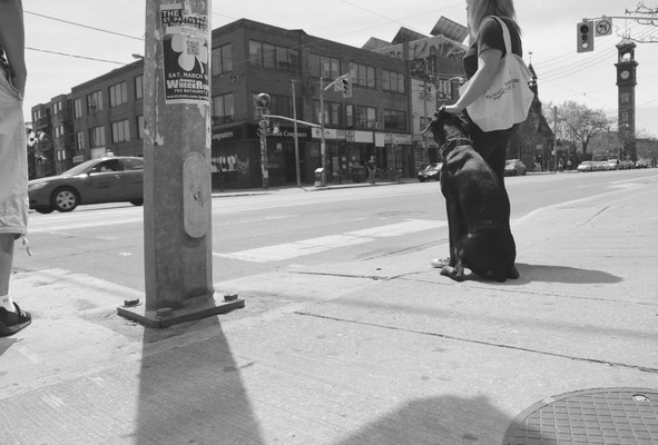 TORONTO, CANADA - 2012