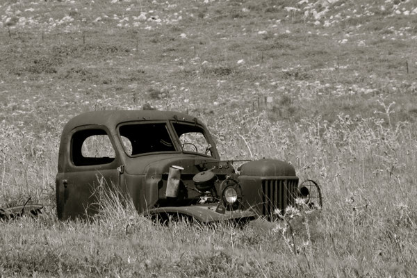 GOLAN HEIGHTS, ISRAEL - 2011