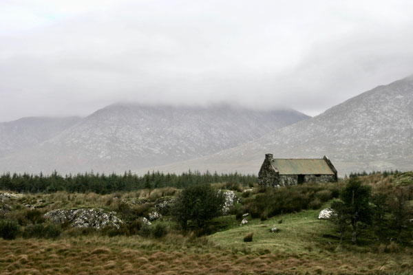 CONNEMARA, IRELAND - 2013