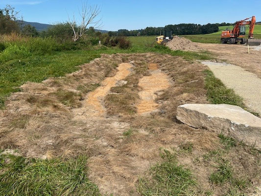 Anlage eines Tümpels auf der Urzeitwiese, Sept 2024 - Markus Schmidberger