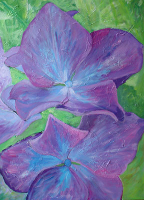 Hortensia