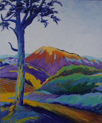 Kleurig landschap
