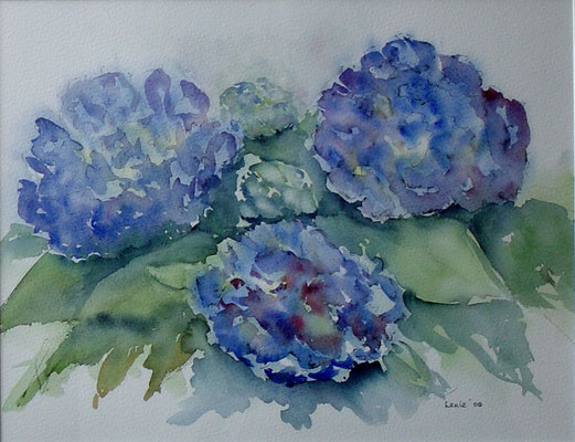 Hortensia's