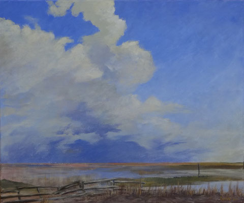 Het wad 1
