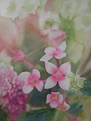 Roze bloemen