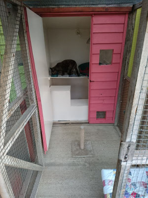 Outside cattery