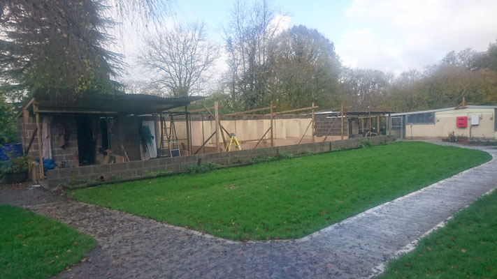 Renovations in progress - November 2019