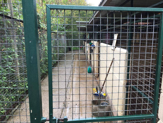 Left side of kennel block before renovation