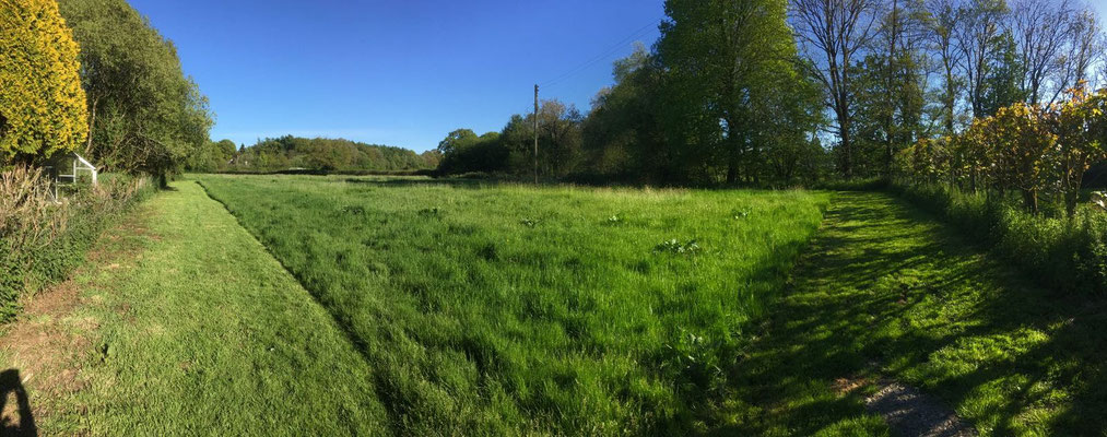 Big paddock before new off lead exercise area