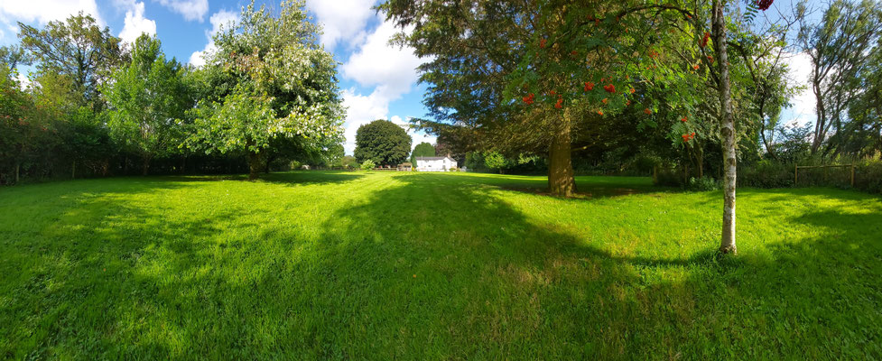House Paddock (1 acre)