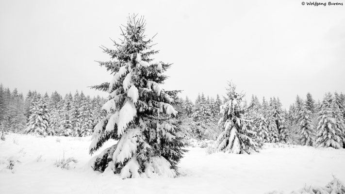 Hoher Westerwald