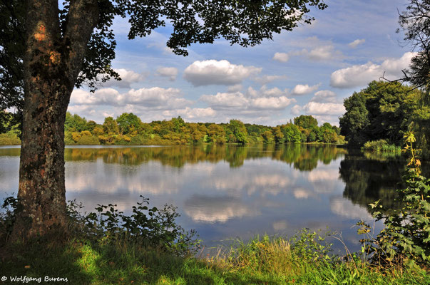 September am Hausweiher, 04.09.2017