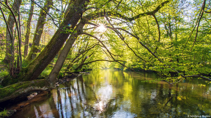 Große Nister