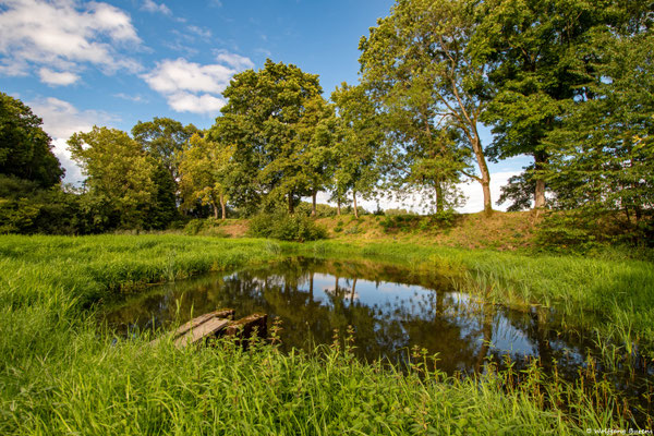 Hälderteich am Hausweiher, 12.08.2023