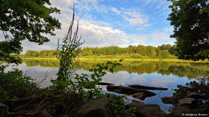 Haidenweiher, 24.07.2020