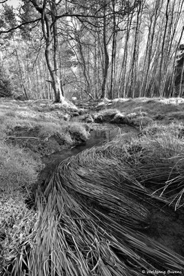 "Auenland", 31.03.2020
