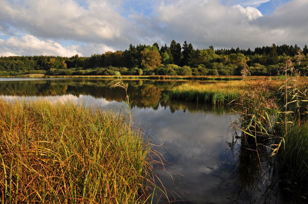 Haidenweiher, 04.10.2015