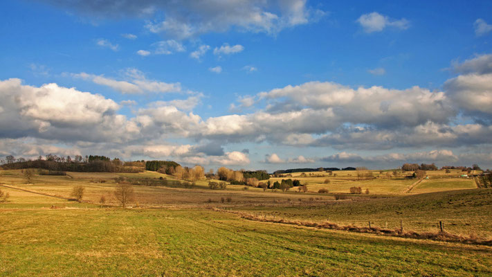 Saynbachquellgebiet, 02.03.2014