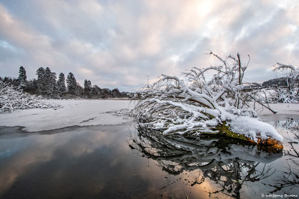 Biberteich, 09.01.2021