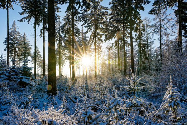 Wintersonnenaufgang auf dem Hatterter Kopf