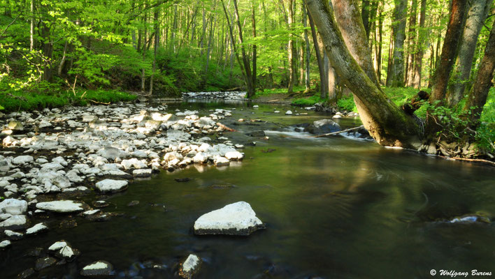 Große Nister, Großseifen