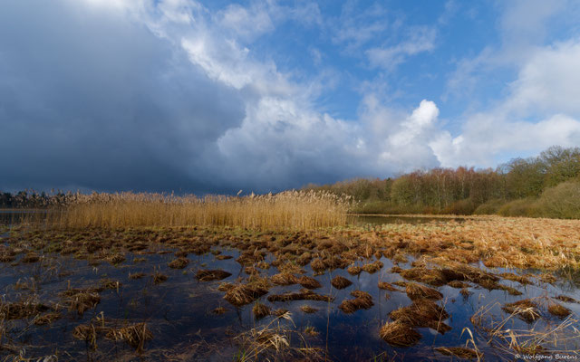 Haidenweiher