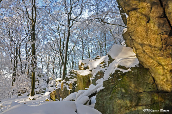Malberg