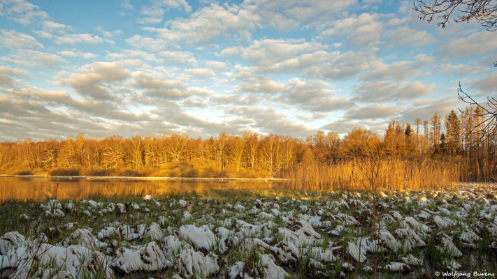Haidenweiher, 03.04.2022