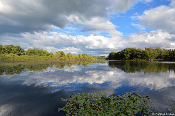 Spätsommer am Hausweiher, 29.08.2020