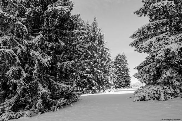 Winterflucht