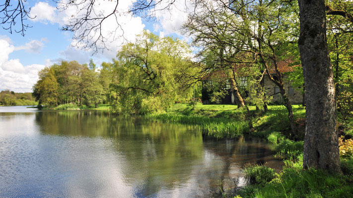 Frühling am Hofgut Schönerlen, 13.05.2017