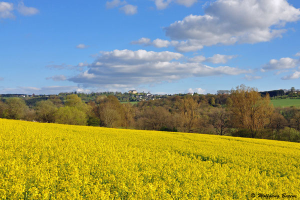 Blick auf Hachenburg, 18.04.2014