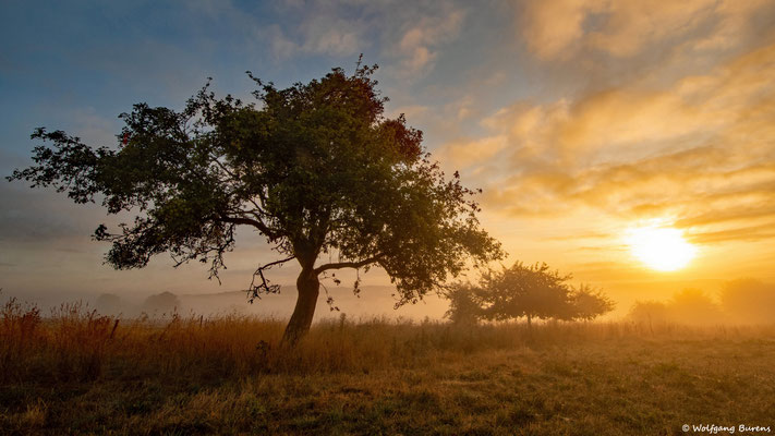 Sonnenaufgang bei Weroth, 04.09.2022