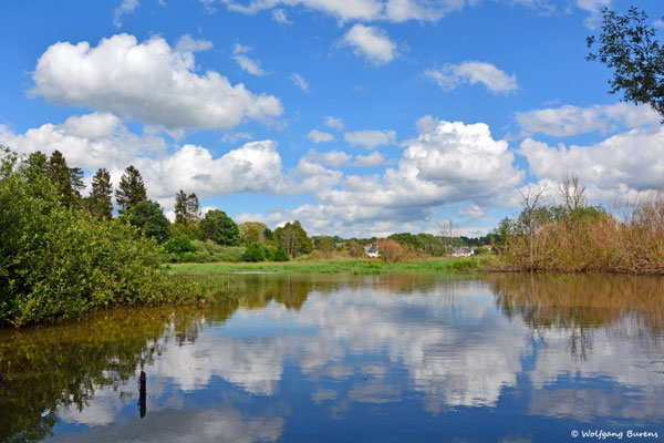 Biberteich 27.06.2020