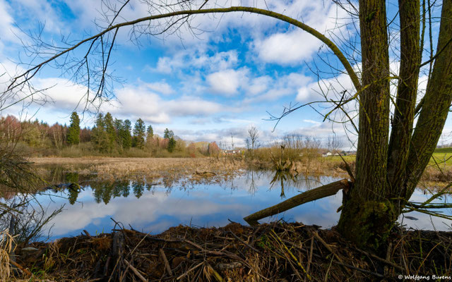 Biberweiher