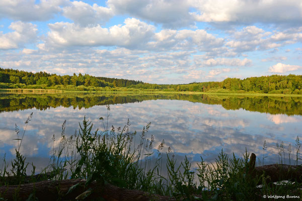Haidenweiher, 18.06.2019