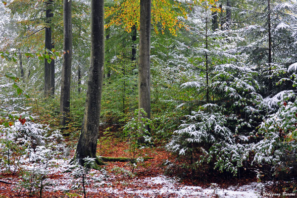 "Oktoberschnee"