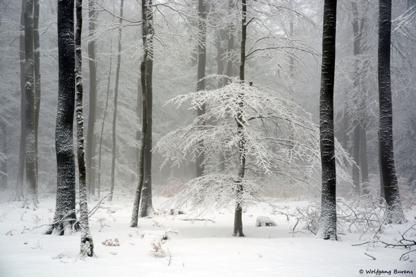 Gietzebeul, 17.12.2017