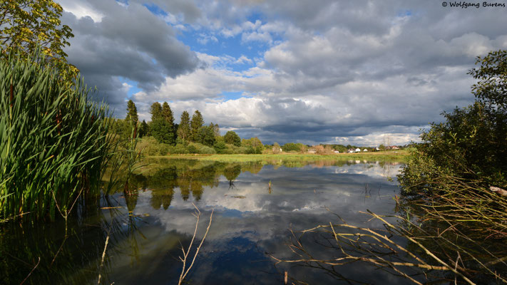 Biberteich, 29.08.2020
