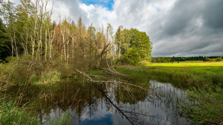 Zufluss des Glamersbachs