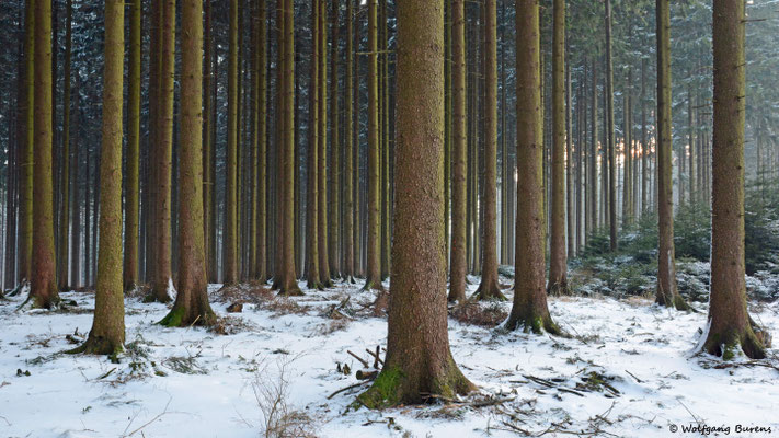 Hatterter Kopf, 03.03.2018