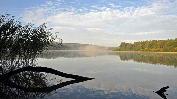Haidenweiher, 17.08.2017