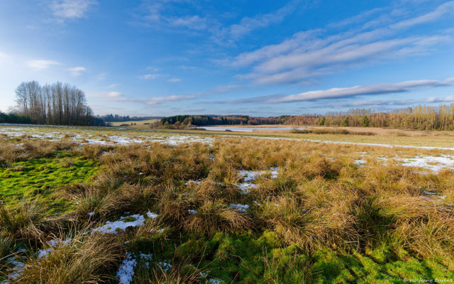 Wölferlinger Weiher 