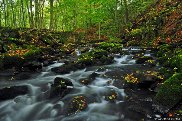 Holzbachschlucht