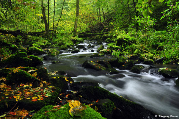 Holzbachschlucht