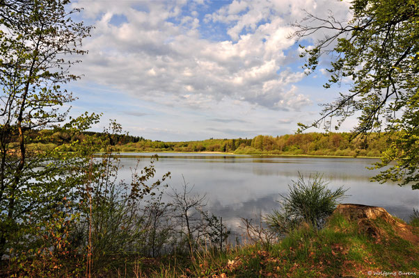 Haidenweiher, 11.05.2017