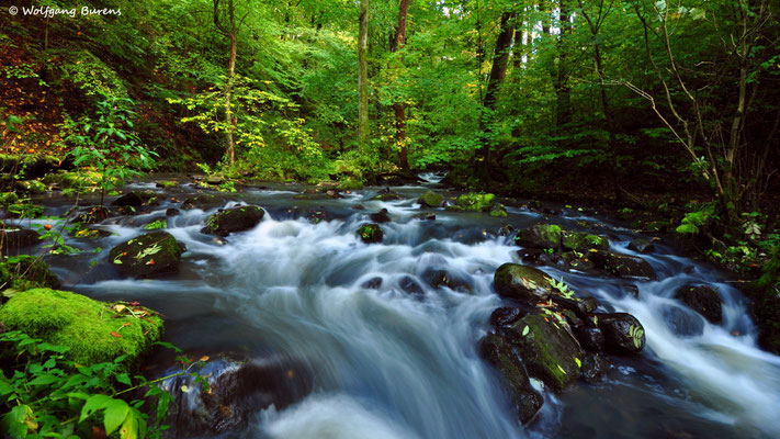 Holzbachschlucht